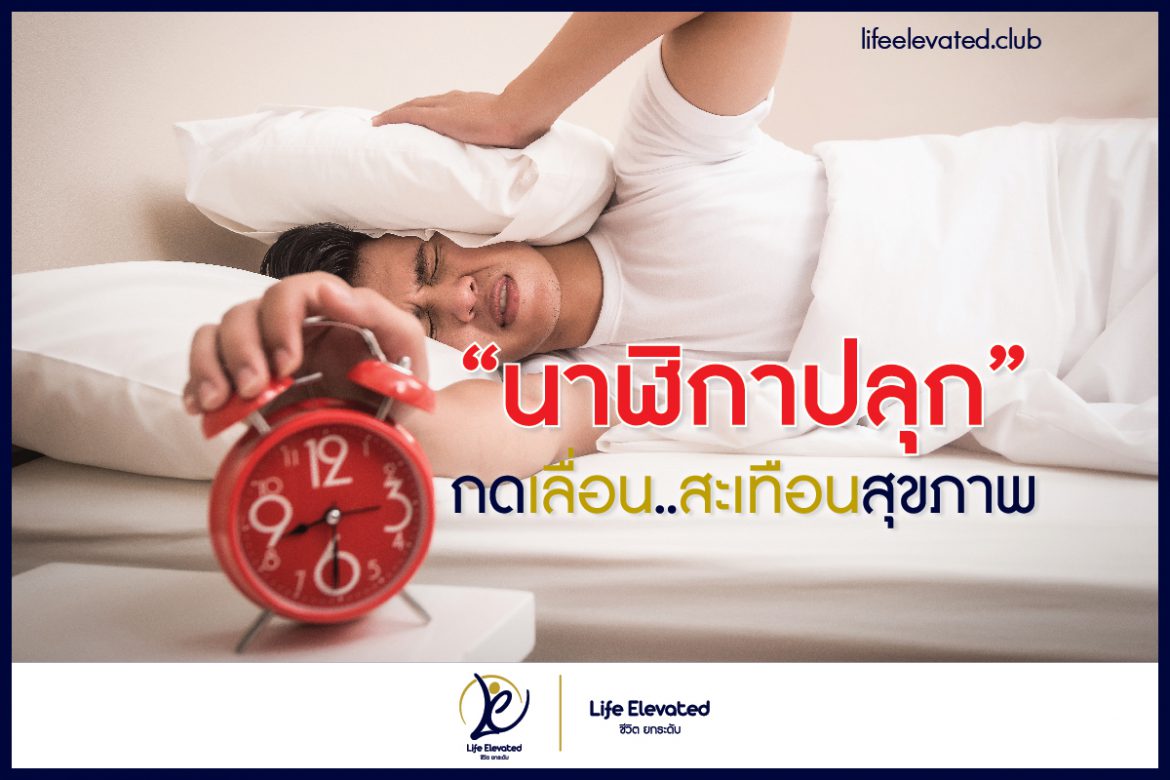 Content Le Snooze-01