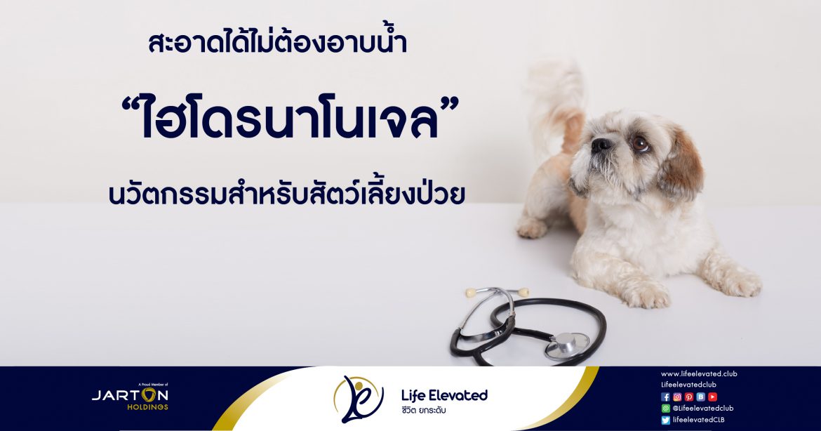 สะอาดได้.ไม่ต้องอาบน้ำ ‘ไฮโดรนาโนเจล’ นวัตกรรมสำหรับสัตว์เลี้ยงป่วย-01