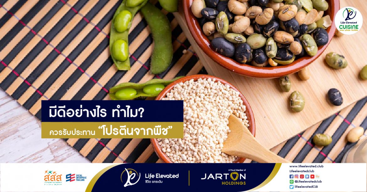 23-06-65 มีดีอย่างไร ทำไม ควรรับประทาน “โปรตีนจากพืช”-01